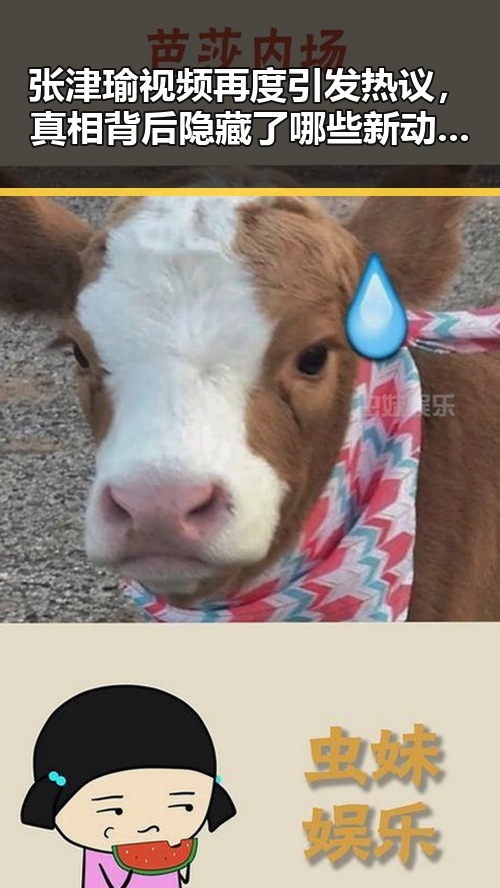 张津瑜视频再度引发热议，真相背后隐藏了哪些新动向？