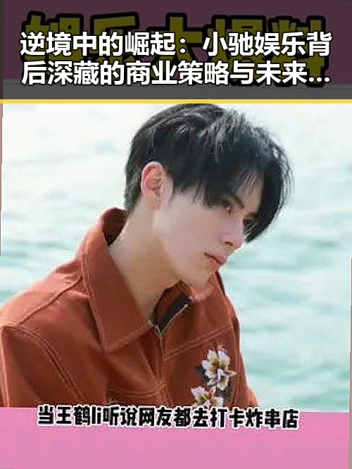 逆境中的崛起：小驰娱乐背后深藏的商业策略与未来布局