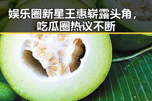娱乐圈新星王惠崭露头角，吃瓜圈热议不断